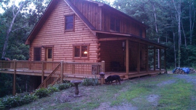 my cabin in the woods